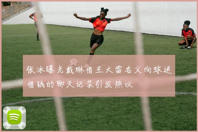 张冰曝光戴琳借王大雷名义向球迷借钱的聊天记录引发热议