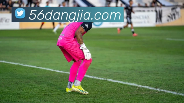 beat365唯一官方网站平台生态图